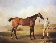 STUBBS, George Molly Longlegs with Jockey (mk08) oil painting
